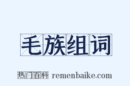 毛族组词是什么意思的图片